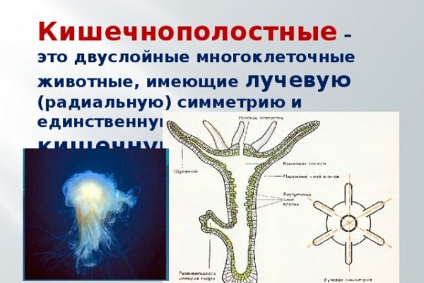 Почему в кракене пользователь не найден