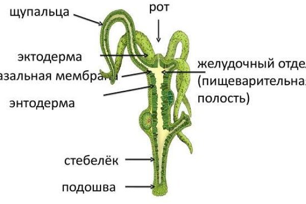 Kraken зеркало kr2web in